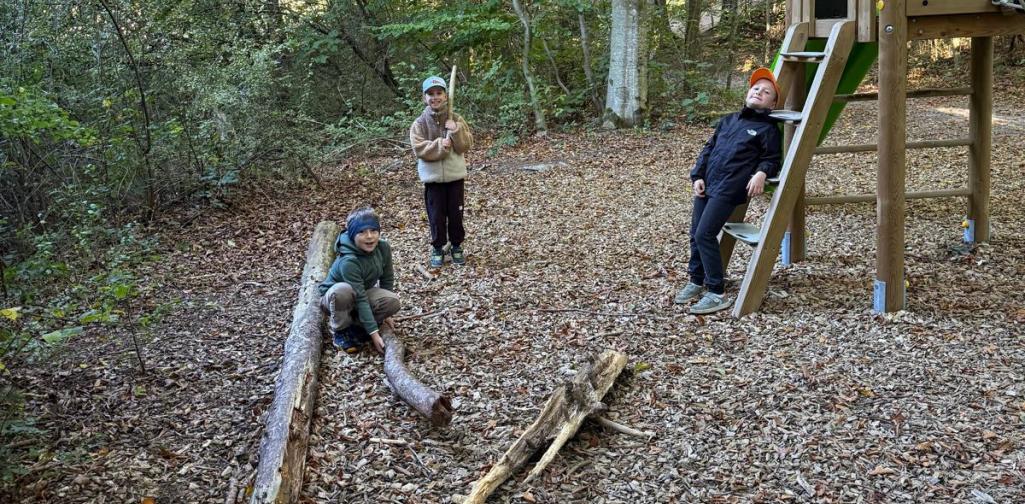 VS Amras Drei Kinder spielen und klettern auf einem Waldspielplatz zwischen Bäumen und Ästen.